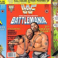 Wrestling and Comics Have Always Been Similar.